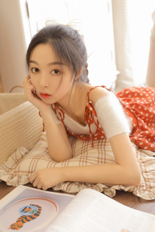 反贪风暴下载
